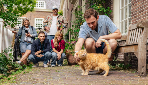 Man and friends meet a friendly orange cat outdoors. Group of people on a city trip to Amsterdam.