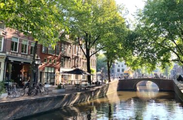 A serene canal scene in Amsterdam with a small bridge. The waterway is lined with trees and historic buildings.
