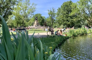 People relaxing in Vondelpark, Amsterdam. A serene pond with lily pads and lush greenery.