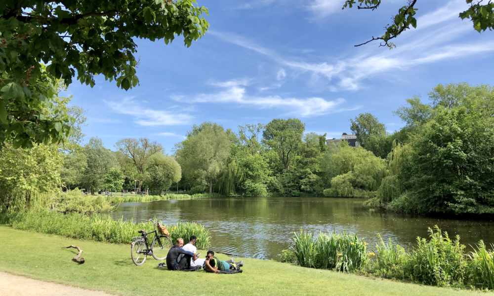 Group of people sitting on grass by a serene lake. A picturesque scene in a park.