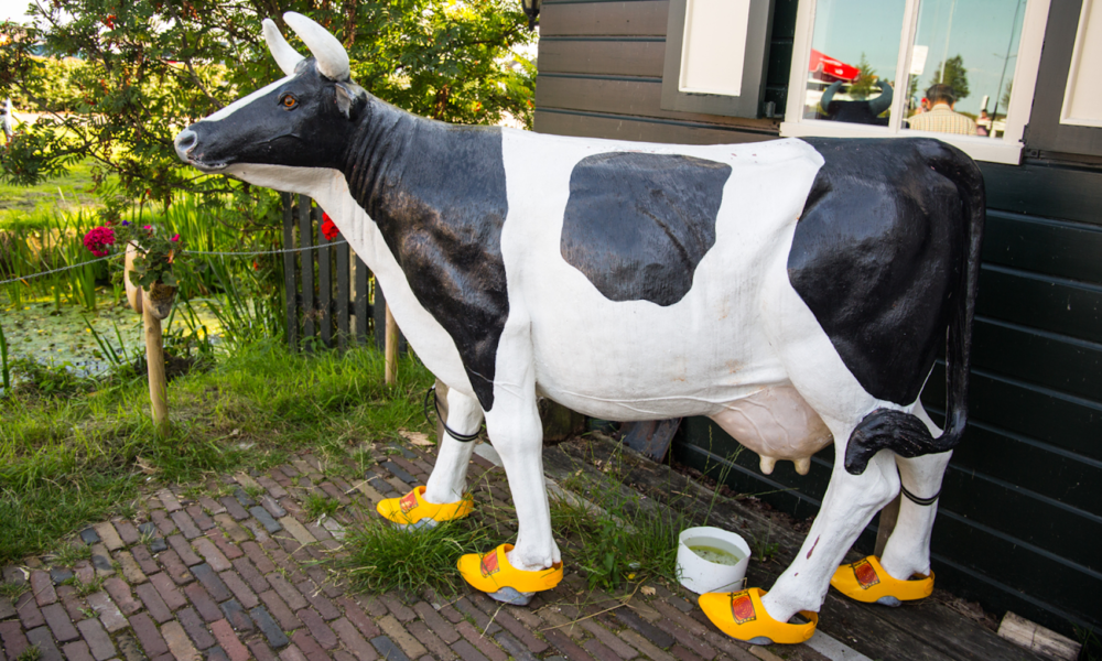 A large cow statue outside a house
